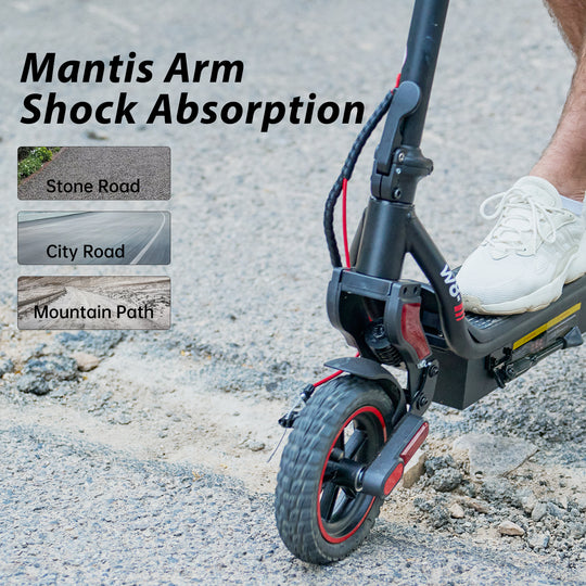 iScooter w8 750W Electric Scooter