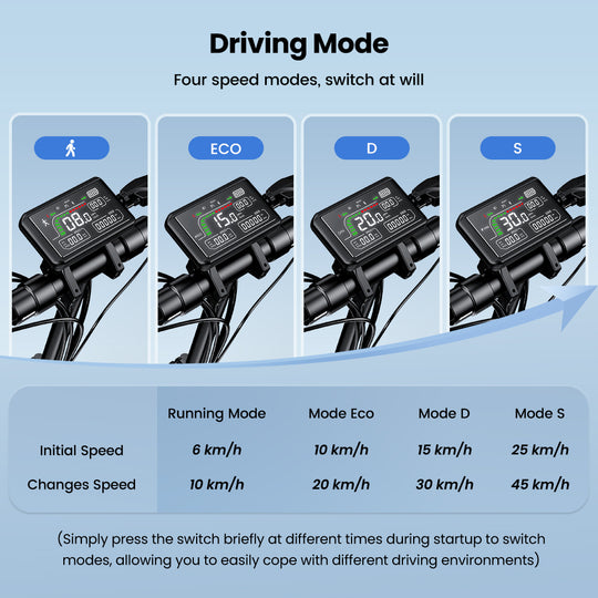 iScooter W9 1000W Off-Road E-scooter 45km/h