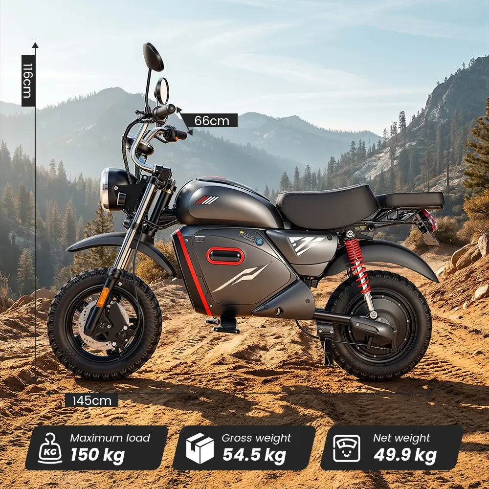 iScooter Y18 Electric Motorcycles 48V 20Ah Battery 80-90km Range 2000W Motor 55km/h Max speed Double suspension 15"x 3.o" All-TerrainTires E-bike