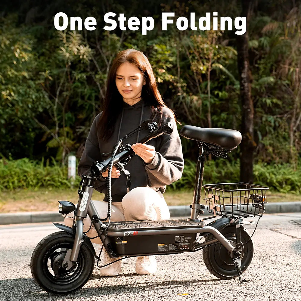 iScooter F2 Seated Electric Scooter 500W 25km/h