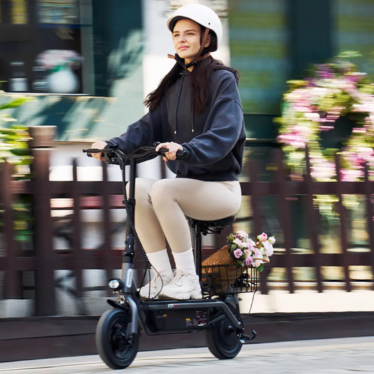iScooter F2 Seated Electric Scooter 500W 25km/h