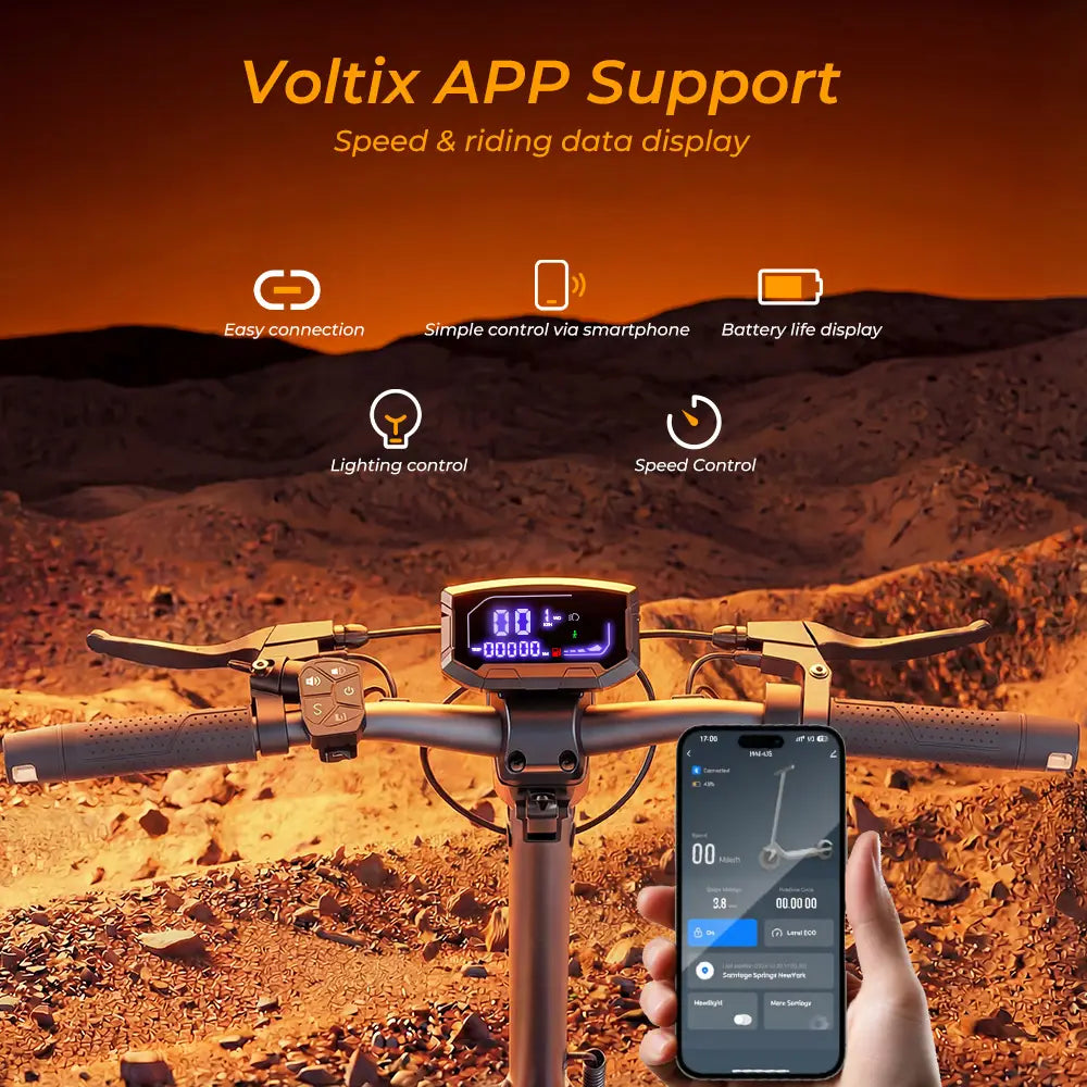 iScooter V5 Pro DE-ABE E-scooter