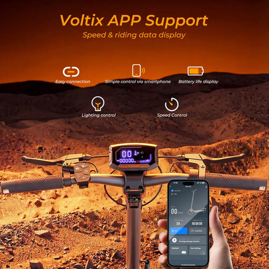 iScooter V5 Pro DE-ABE E-scooter