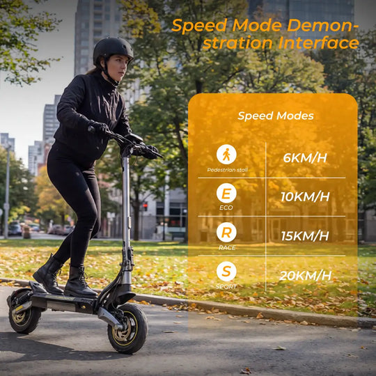 iScooter V5 Pro DE-ABE E-scooter