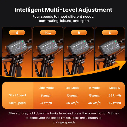 iScooter W10 Off-Road Electric Scooter