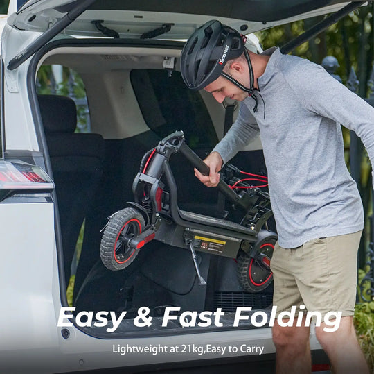 iScooter W8 750W Electric Scooter