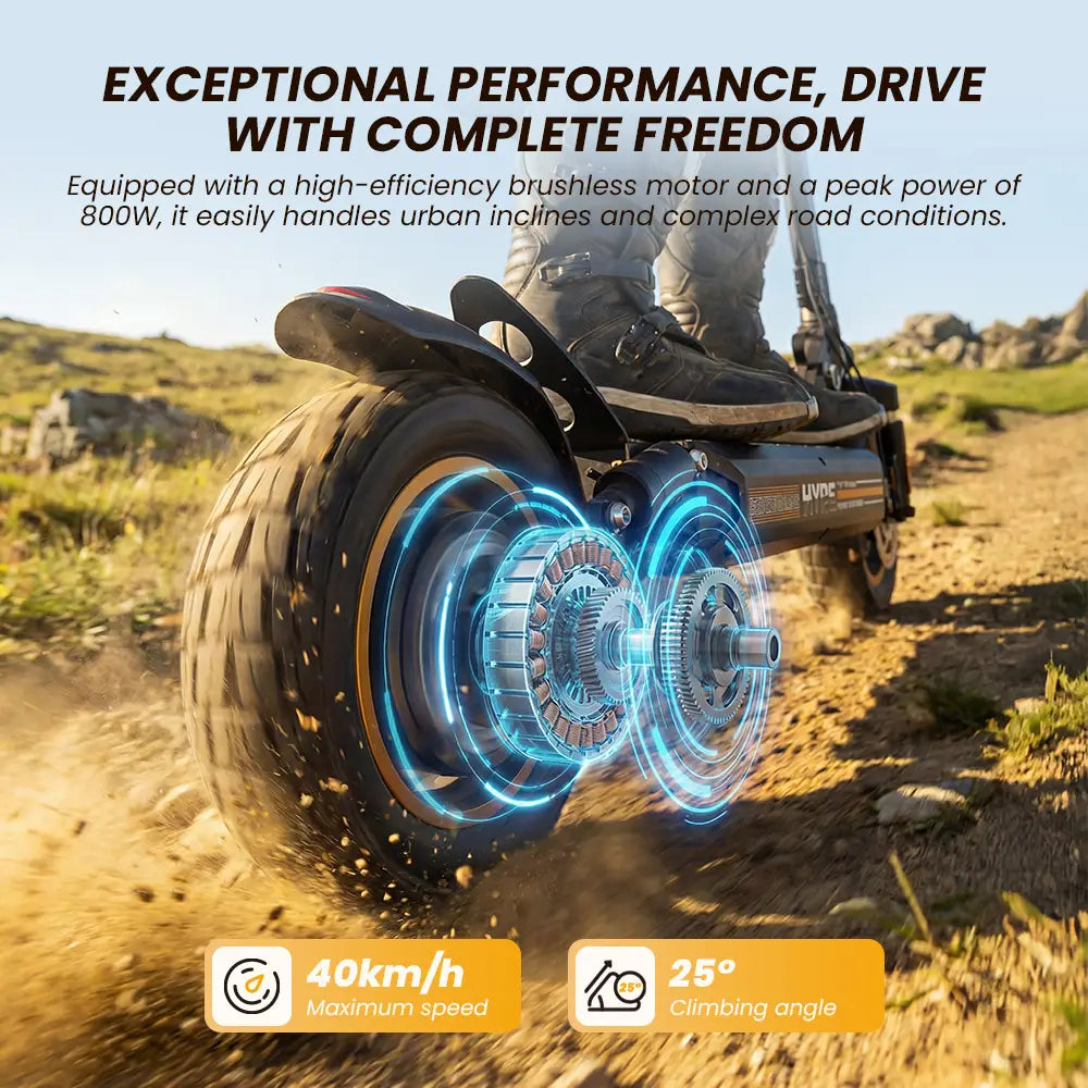 iScooter W9 Air Electric Scooter 48V 10Ah Battery 30-40km Range 800W Motor 40km/h Max speed Double suspension 10" Off-road Tires Aldult E-Scooter