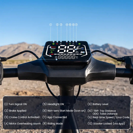 iScooter i10M Off-Road Electric Scooter
