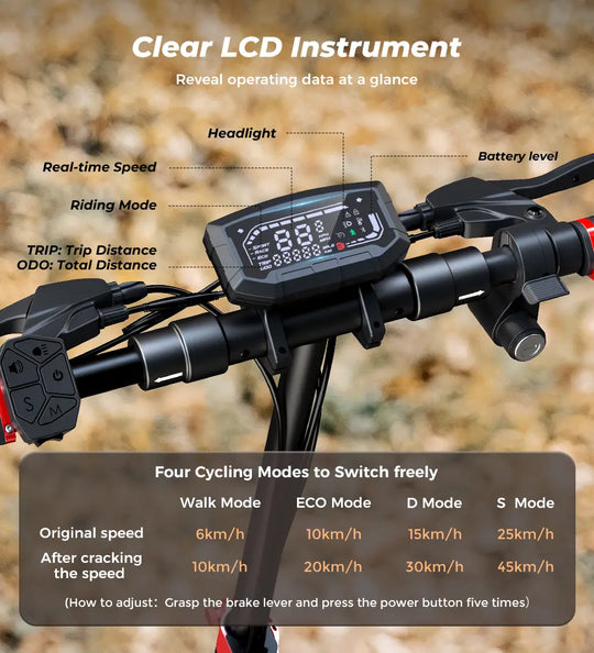 iScooter iX4 800W Off-Road Electric Scooter 45km/h